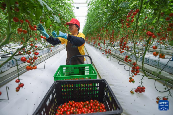 1696253595741318.png c6f39da0bd1fd56c7ad97fe8da05eb4d_640_wx_fmt=png&wxfrom=5&wx_lazy=1&wx_co=1.png