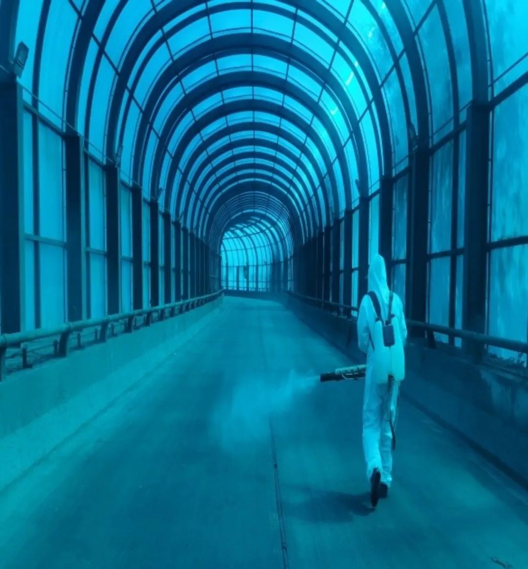 1696253905790388.jpg 505d87249e256527e2a329b858afc8ec_640_wx_fmt=jpeg&wxfrom=5&wx_lazy=1&wx_co=1.jpg