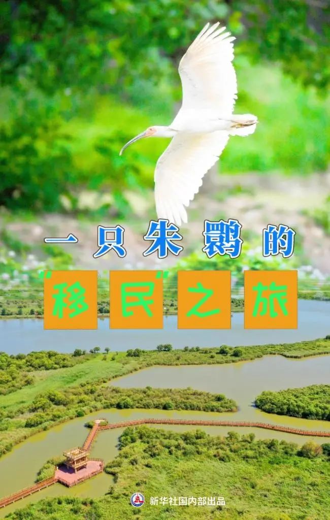 5511959aa14f6b7d56adcb908c7da7b1_640_wx_fmt=jpeg&wxfrom=5&wx_lazy=1&wx_co=1.jpg